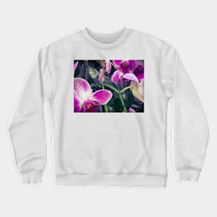 Pink Orchid Floral Plant Flower Blossoms Crewneck Sweatshirt